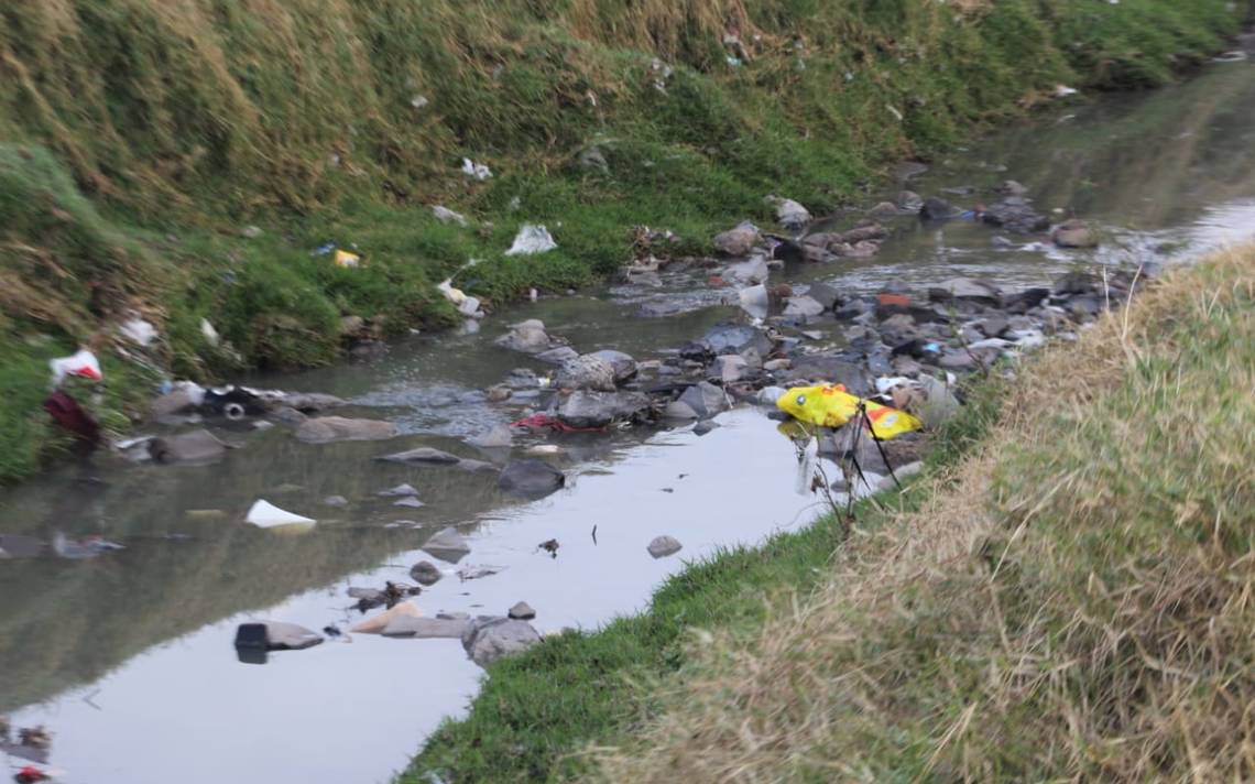 Realiza UdeG Estudio En 39 Mil Niños Para Ver Niveles De Contaminación ...